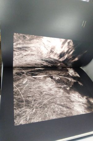 Five Hundred and B Sides image number 1
