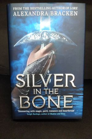Silver in the Bone image number 0