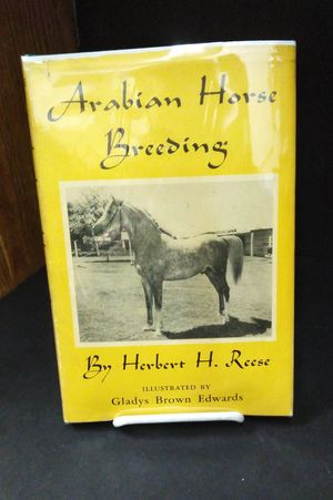 Arabian Horse Breeding image number 0