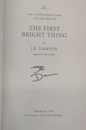 The First Bright Thing image number 2
