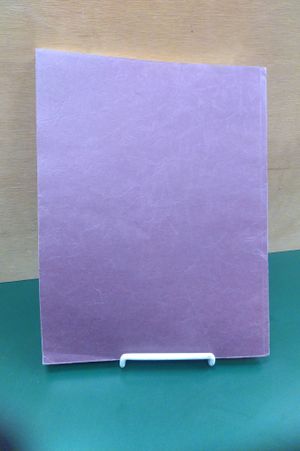 Raiders of the Lost Ark: The Screenplay image number 2