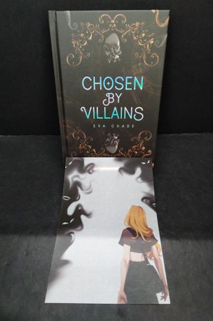 Chosen image number 0