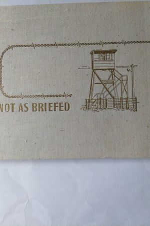 Not As Briefed image number 0