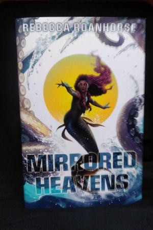 Mirrored Heavens  image number 0