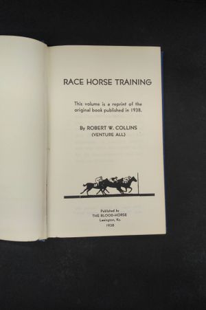 Race Horse Training image number 1
