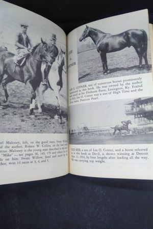 Race Horse Training image number 2