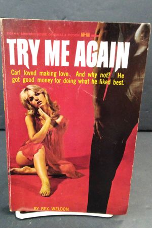 Try Me Again image number 0
