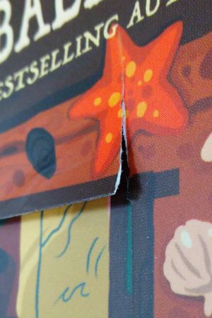 Bookshops & Bonedust (The Bookish Box Exclusive Luxe Edition) image number 2