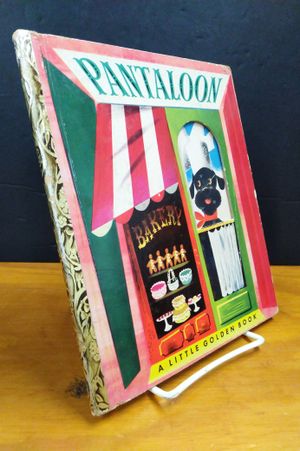 Pantaloon image number 0