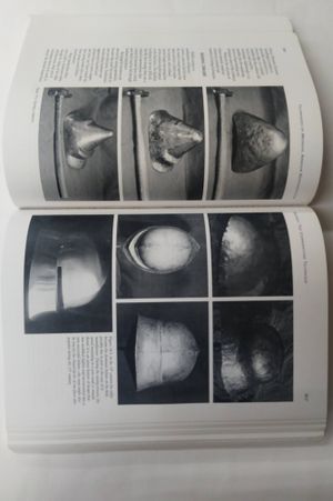 Techniques of Medieval Armour Reproduction image number 0