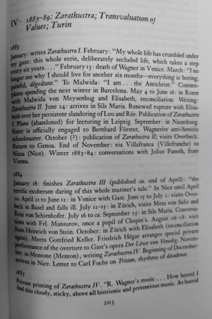 Selected Letters of Friedrich Nietzsche image number 2