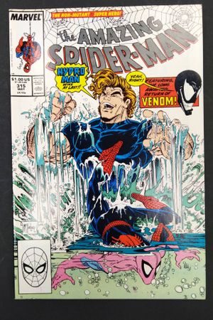 Amazing Spider-man Issue 315 image number 0