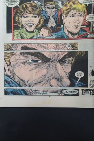 Amazing Spider-man Issue 315 image number 2