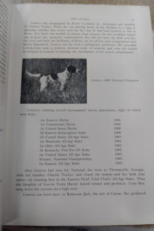 National Field Trial Champions image number 2