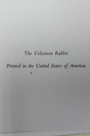 The Velveteen Rabbit or How Toys Become Real image number 2