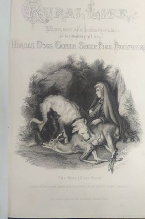 Rural Life, Described and Illustrated image number 2