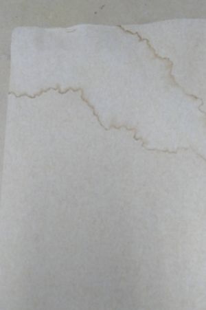 Parable of the Sower  image number 1