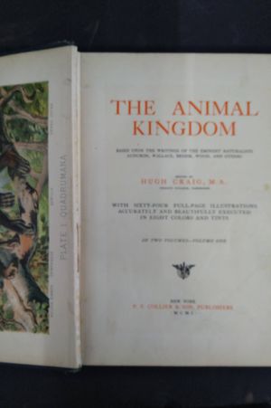 The Animal Kingdom image number 1