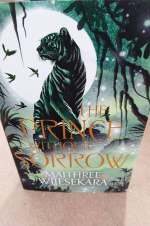 The Prince Without Sorrow image number 0