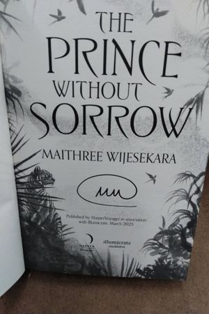 The Prince Without Sorrow image number 2