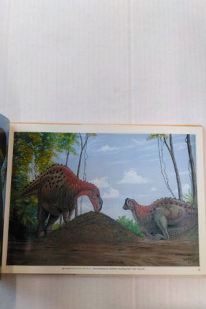 Dinosaur Skeleton Complete Illustrated Guide image number 1