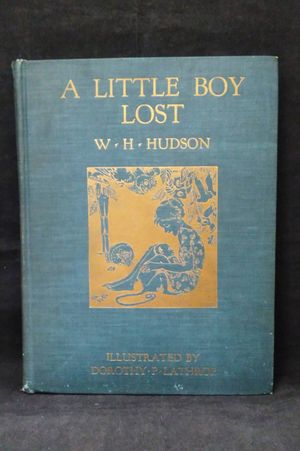 A Little Boy Lost image number 0