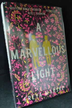 A Marvellous Light image number 0