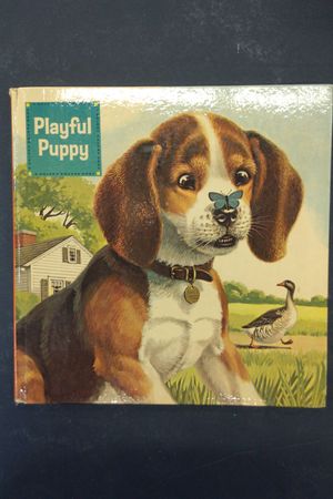 Playful Puppy image number 0