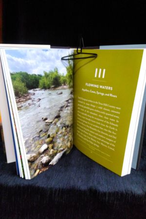 Armadillos to Ziziphus: A Naturalist in the Texas Hill Country image number 2