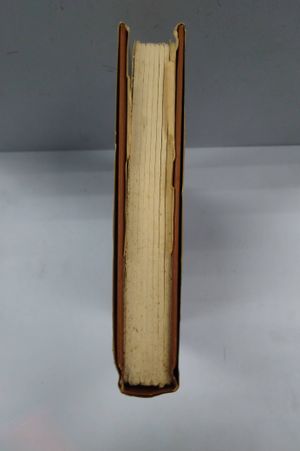Millennium image number 2