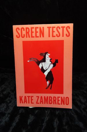 Screen Tests: Stories and Other Writing image number 0