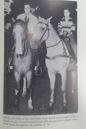 Elvis image number 0
