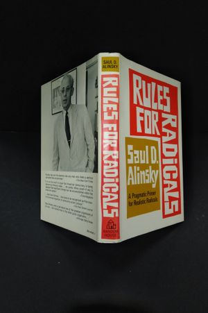 Rules for Radicals image number 2