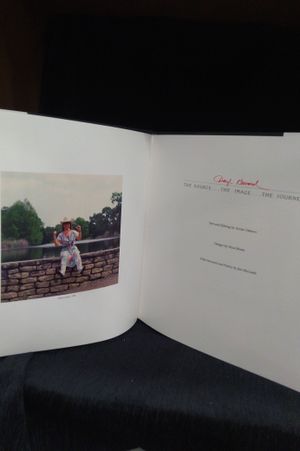 Daryl Howard: The Source the Image the Journey image number 2