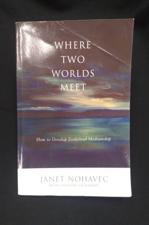 Where Two Worlds Meet image number 0