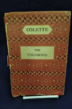 The Vagabond image number 0