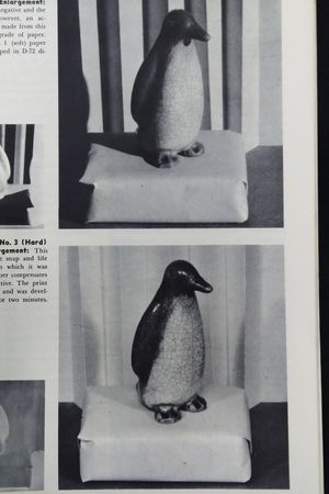 How to Develop, Print and Enlarge Pictures image number 2