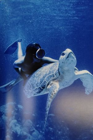 James Bond: Destinations image number 1