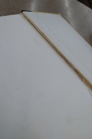 Old Yeller image number 2