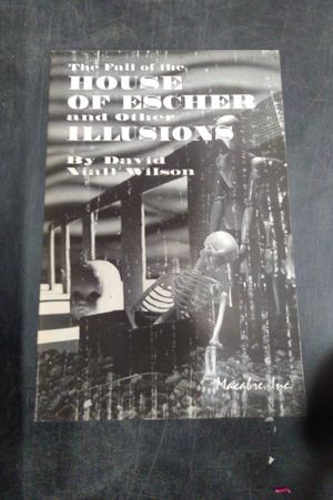 The Fall of the House of Escher and Other Illusions image number 0