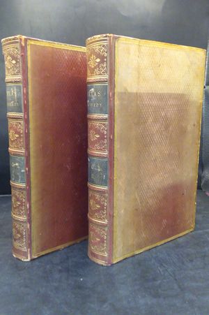 Texas: The Rise, Progress, and Prospects of the Republic of Texas 1841 image number 0