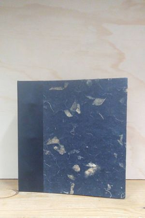 The Light-Traveler's Notebook image number 1