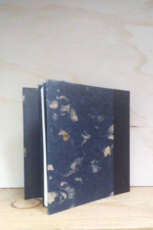 The Light-Traveler's Notebook image number 2