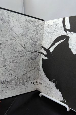 Fenian Street (Unplugged Book Box) image number 2