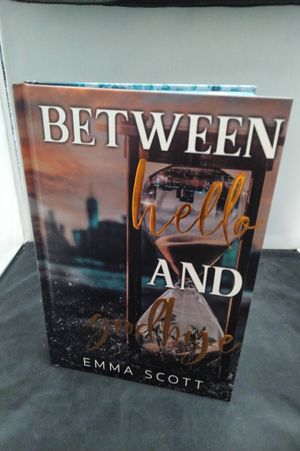 Between Hello and Goodbye image number 0