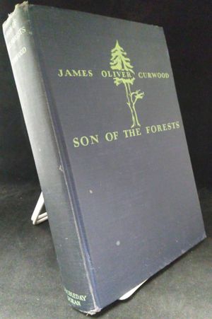 Son of the Forests image number 1