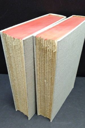 The Diary of Our Own Samuel Pepys 2 Vol. Set image number 1