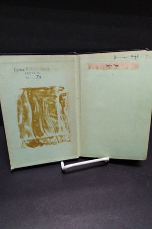 Daniel Boone: Wilderness Scout image number 2