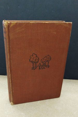 The Bright Promise image number 0