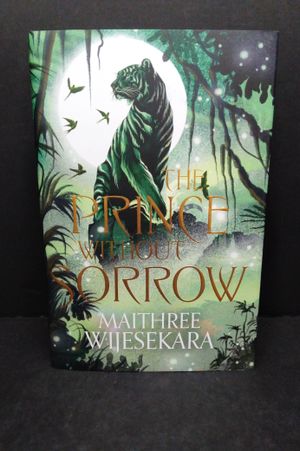 The Prince Without Sorrow image number 0